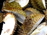 kulit durian