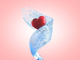 heart 14