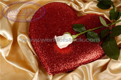 heart 17