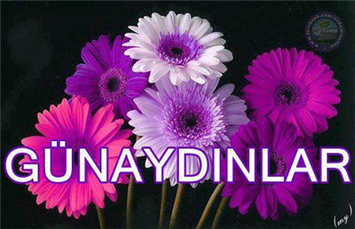 GÜNAYDINLAR