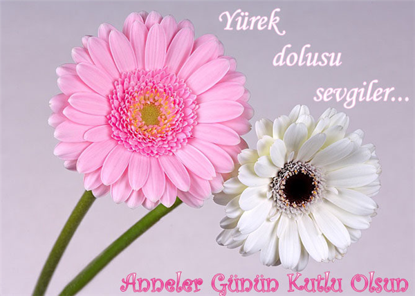 Anneler Günün Kutlu Olsu