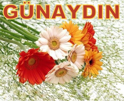 Sabahın Bütün Güzel renkleri evinize dolsun.hayatınız huzurlu gününüz aydın olsun günaydın...