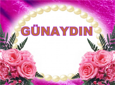 Yaşamın kaynağı Sevgi ise sevgi bir tutku, tutku bir amaç, amaç bir şeyleri birileriyle paylaşmaksa, paylaşmak dostluk, dostluk hatırlamaksa eğer hep aklımdasınız! Yeni yılda da dostluğumuzun daha da pekişmesi ve ebedi olması dileğimle daha nice MUTLU YILLAR!