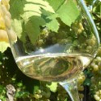 Soave