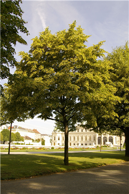 Ciekawostki Ruczaj Parku