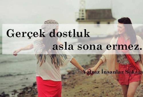 Dostmusun Düşmanmı ?