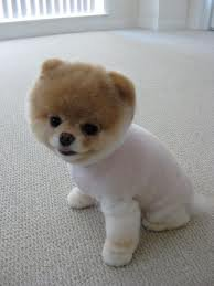Boo