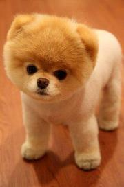 SUPER CUTE