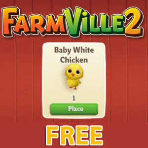 BABY CHICKEN