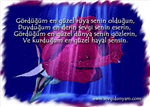 Birtanem Tektanem