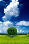 Eco-Flair