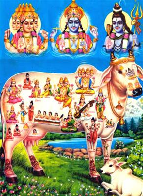 Save Gaumata 