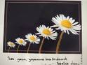 Esad Emin