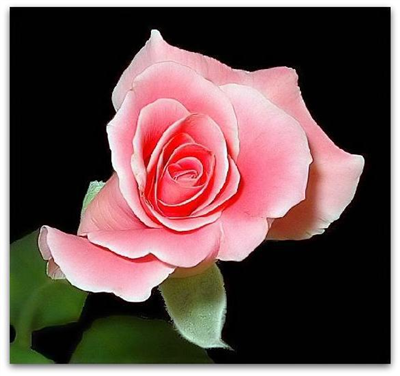 ₪ ₪ ✫..MUTLU AK׳AMLAR DİLERİM ✫...(⁀‵⁀) ...✫..BTN GZELLiKLER ..✫. `⋎´ ✫ ✫..SIZLERLE OLSUN (⁀‵⁀) ✫ ✫ ✫..HERSEY GײNLNCE OLSUN `⋎´✫¸.•°*”˜˜”*°•.✫ ✫..SAYGILAR ✫¸.•°*”˜˜”*°•.✫ ✫..SEVGILER...
