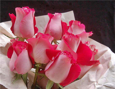 ★H A Y I R L I ★A K Ş A M L A R ♥★ ✫MUTLU HUZURLU★ ♥★BIR AKŞAM GEÇİRMENİZ DİLEĞİYLE ♥★ ..✫. `⋎´ ✫ ✫.★.BÜTÜN GÜZELLiKLER SİZİNLE ★ (⁀‵⁀) ✫ ✫ ✫.★.HERSEY GÖNLÜNÜZCE OLSUN ★ `⋎(⁀‵⁀) ✫ ✫ ✫..★Sevgiler ★ `⋎´✫¸.•°*”˜˜”*°•.✫ ✫.. ★ ✫¸.•°*”˜˜”*°•.✫★.¸¸.• ★