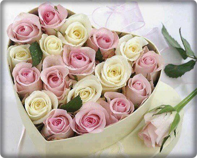 ƸӜƷ•°*””*°•.ƸӜƷ•°*””*°•.ƸӜƷ•°*””*°•.ƸӜƷ• (¯`´♥(¯`´♥.¸________ღ☆ღ_________ ¸.♥´´¯)♥´´¯) ☆ ▓▒░ ☆ [♥]İYİ... [♥] [♥] AKŞAMLAR[♥] ☆ ░▒▓ ☆ (_¸.♥(_¸.♥´´ ¯¯¯¯¯¯¯¯ღ☆ღ¯¯¯¯¯¯¯¯¯ `´♥.¸_)♥.¸_) ƸӜƷ•°*””*°•.ƸӜƷ•°*”ᵃˡᵖᶤ°•.ƸӜƷ•°*””*°•.ƸӜƷ•