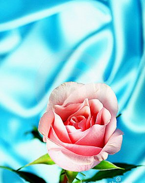 ✫¸.•°*”˜˜”*°•✫ ..✫¸.•°*”˜˜”*°•.✫ ☻/ღ˚ •。* ♥♥ ˚ ˚✰˚ ˛★* 。 ღ˛° 。* °♥ ˚ • ★ /▌*˛˚░░░░░ MUTLU GÜNLER ░░░░ ˚ ✰* ★ / \\ ˚. .✰˚ ˛★* 。 ღ˛° 。* °♥ ˚ • ★ ♥ HERŞEY GÖNLÜNÜZCE OLSUN, ♥ ...♥♥ SAĞLIK VE GÜZELLİKLERLE ✫¸.•°*”˜˜”*°•✫ ƸӜƷ ♥