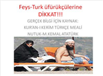 Feysturk Uyaranı