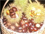 Yeni Yılınız Kutlu Olsun