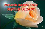 Mevlid Kandiliniz Mübarek Olsun
