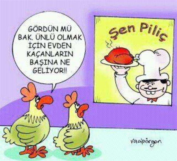 Karikatür