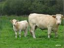 Ferme Ville