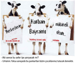 Kafana Gore