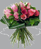 roses