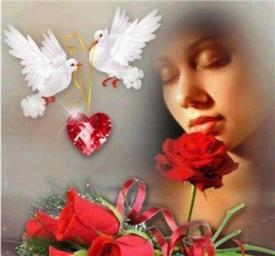 Beautiful Roses