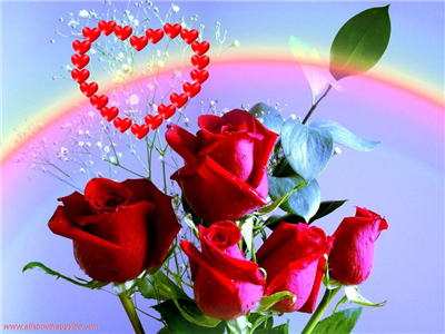 Beautiful Roses