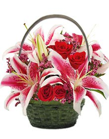 güller