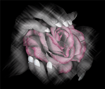 a flower