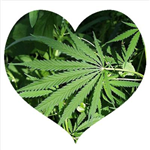 420 Hearts