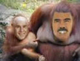 Siz Malsınmı??