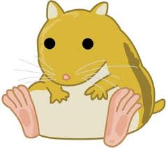 Hamster