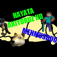 Hayata Akıyoruz Tanıyormusunuz