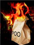 Flaming Bag Of Poo