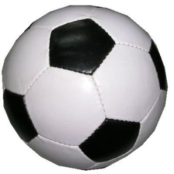 Hangi Sporu Seversin