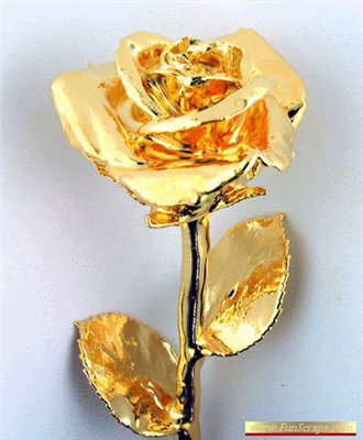 GÜL