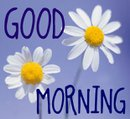 good morning
