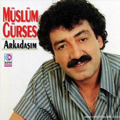 Hangi Tarz Müzik Sana Daha Uygun?