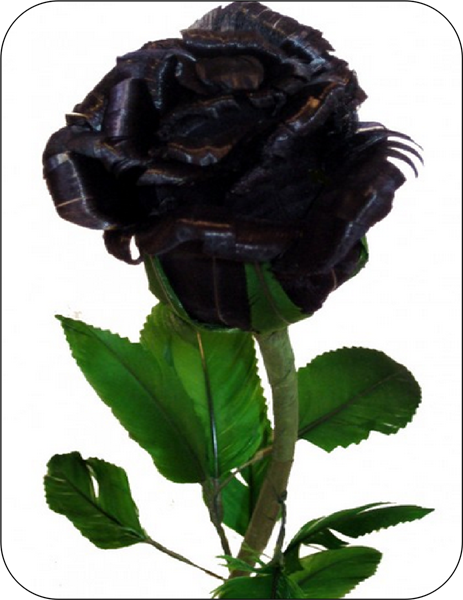 Black Rose