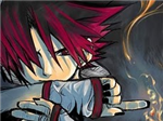 Ninja Elemen
