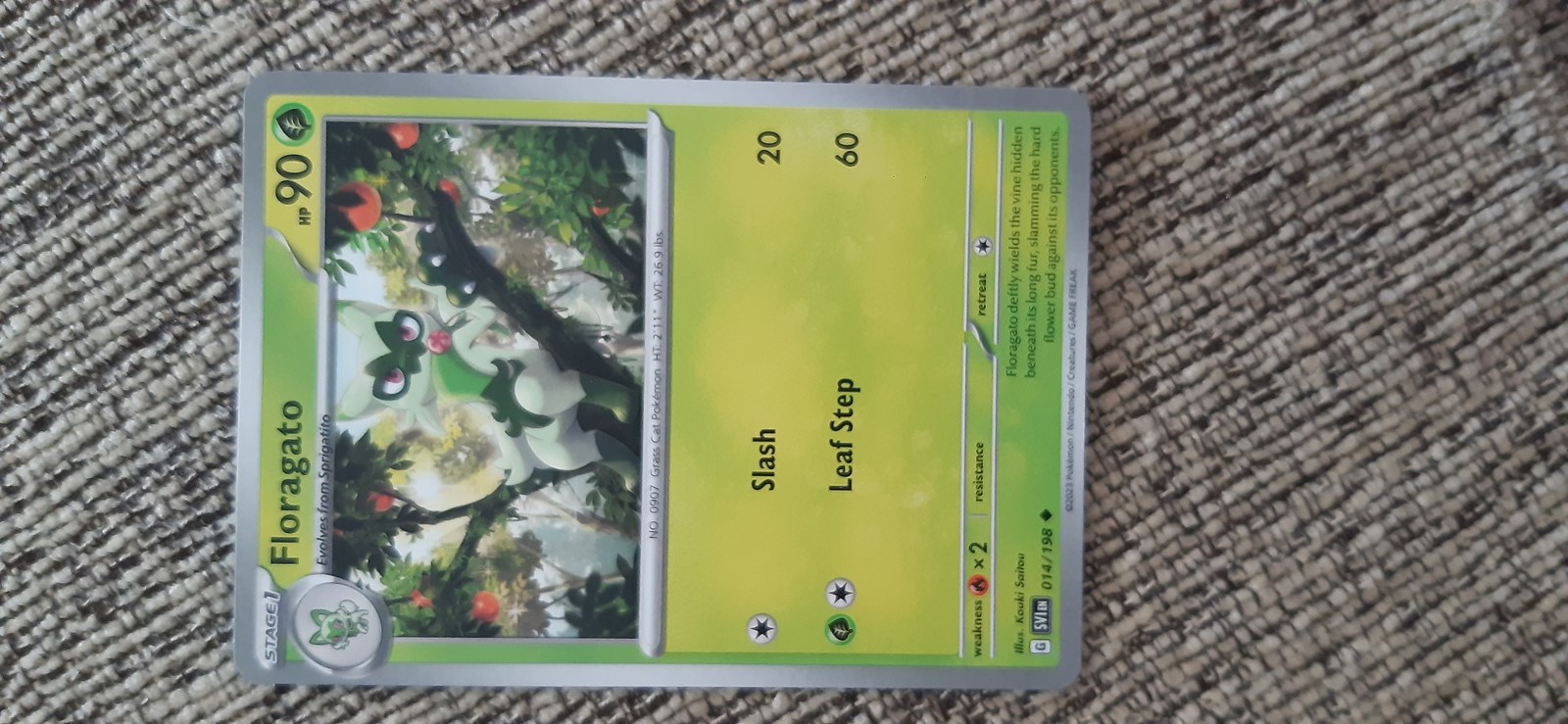 Aký si pokémon z 9. generácie?