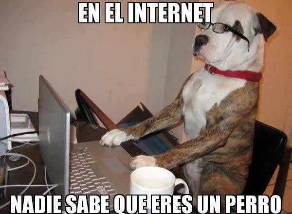 Que Perro Eres
