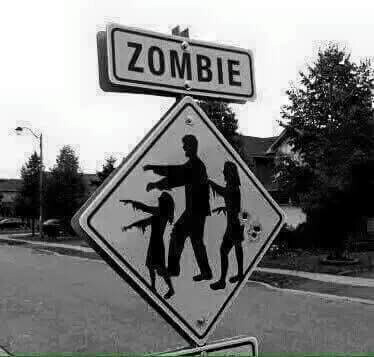 ¿Sobrevivirías A Los Zombies?