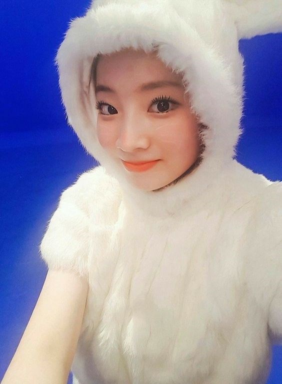 Hangi Tavşan  Kpop İdolüsün
