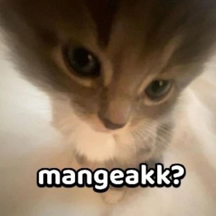 Seberapa Tau Lu Tentang Valorant?