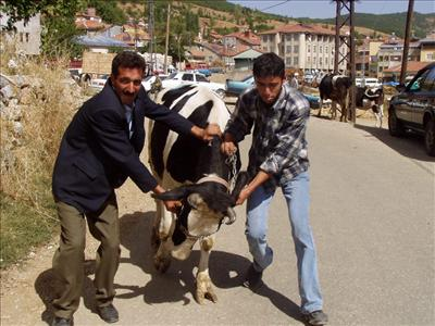 Derslere Ne Kadar Alakalısın..
