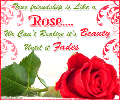 FRIENDS CARDS 1
